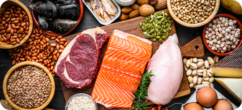 6 Ways How Protein Helps in Weight Loss